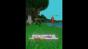 Join our #demonslayer #minecraft server today and become the best demon you can! The best SMP awaits