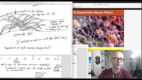 Remote Viewed Covid-19 Virus Feedback After 3 Year...