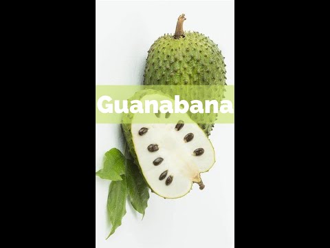 Video: ¿Son venenosas las semillas de guanábana?