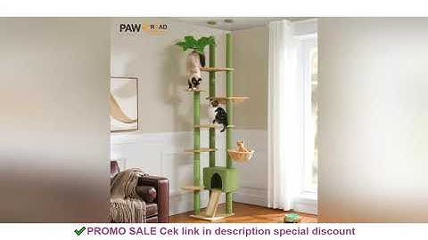 Cactus Cat Tree Floor to Ceiling Cat Tower Adjustable Height with Cat Condo Cozy Hammock and Scratch