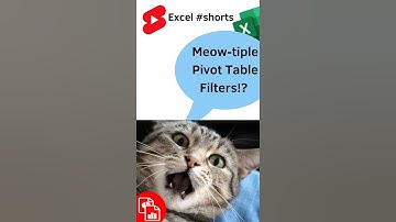Enable Multiple Filters Pivot Table  - Excel #Shorts