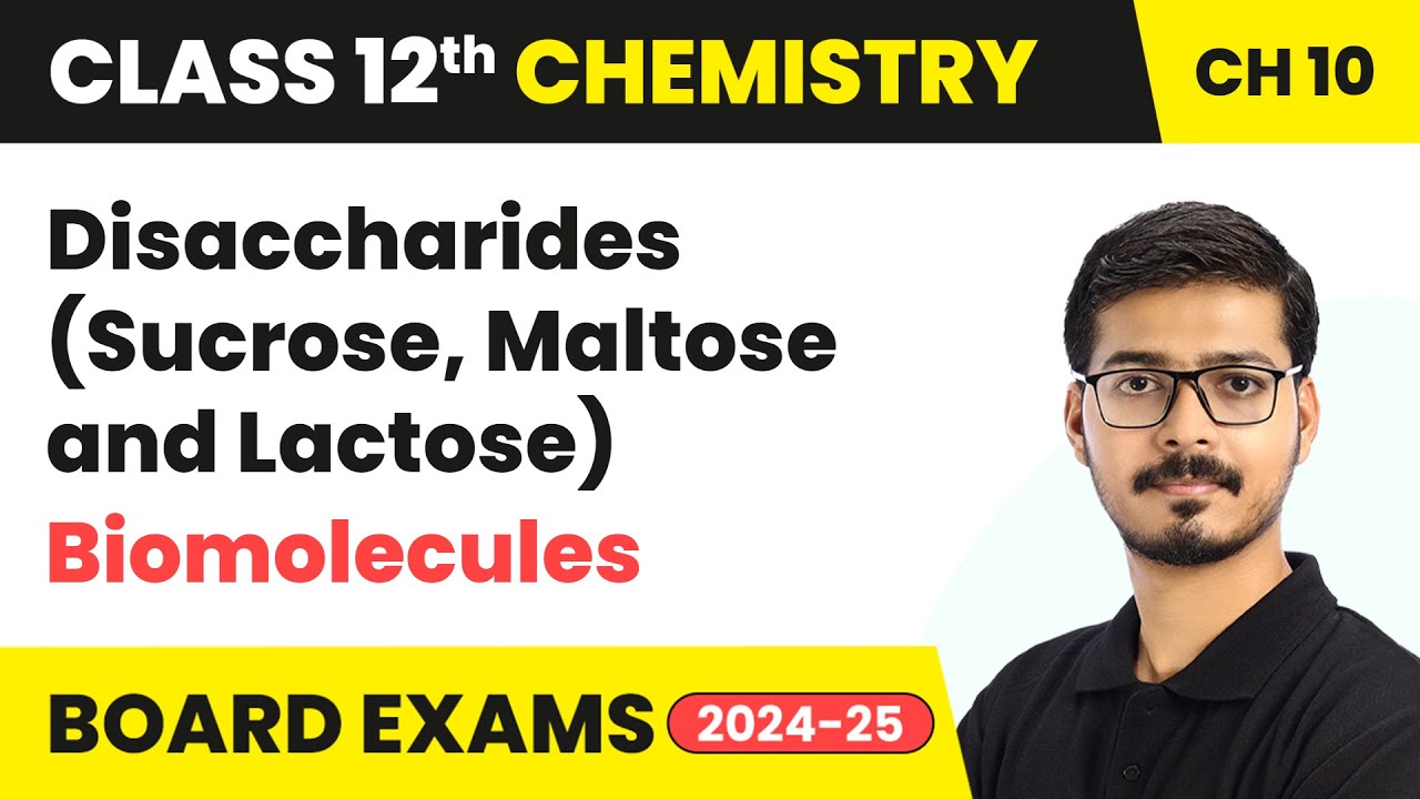Disaccharides (Sucrose, Maltose and Lactose) - Biomolecules | Class 12 Chemistry Chapter 10 | CBSE