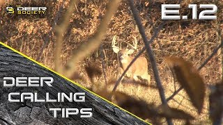 Deer Calling Tips - E.12 "Tending and Breeding Grunts"