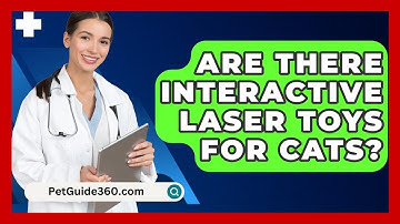 Are There Interactive Laser Toys For Cats? - PetGuide360.com