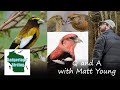 Winter Finch Q and A with Matt Young