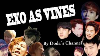 EXO as vines