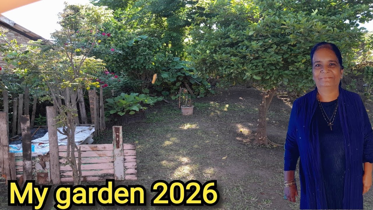 What's new in my garden for summer 2026 - YouTube