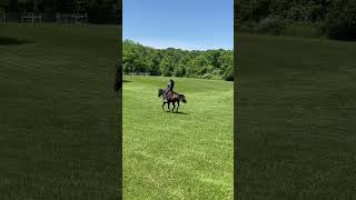 Giddy up