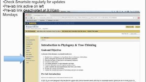 BIS2C FALL2012 LECTURE 1: Introduction, Phylogeny