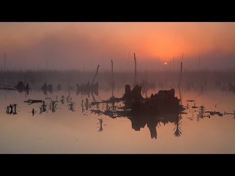 Видео: Инциденти в къщата на починалия с кикимора и джудже на покрива - Алтернативен изглед