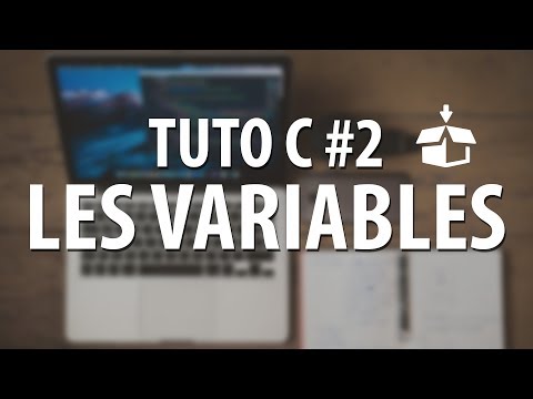 Vídeo: Què són les variables en C?