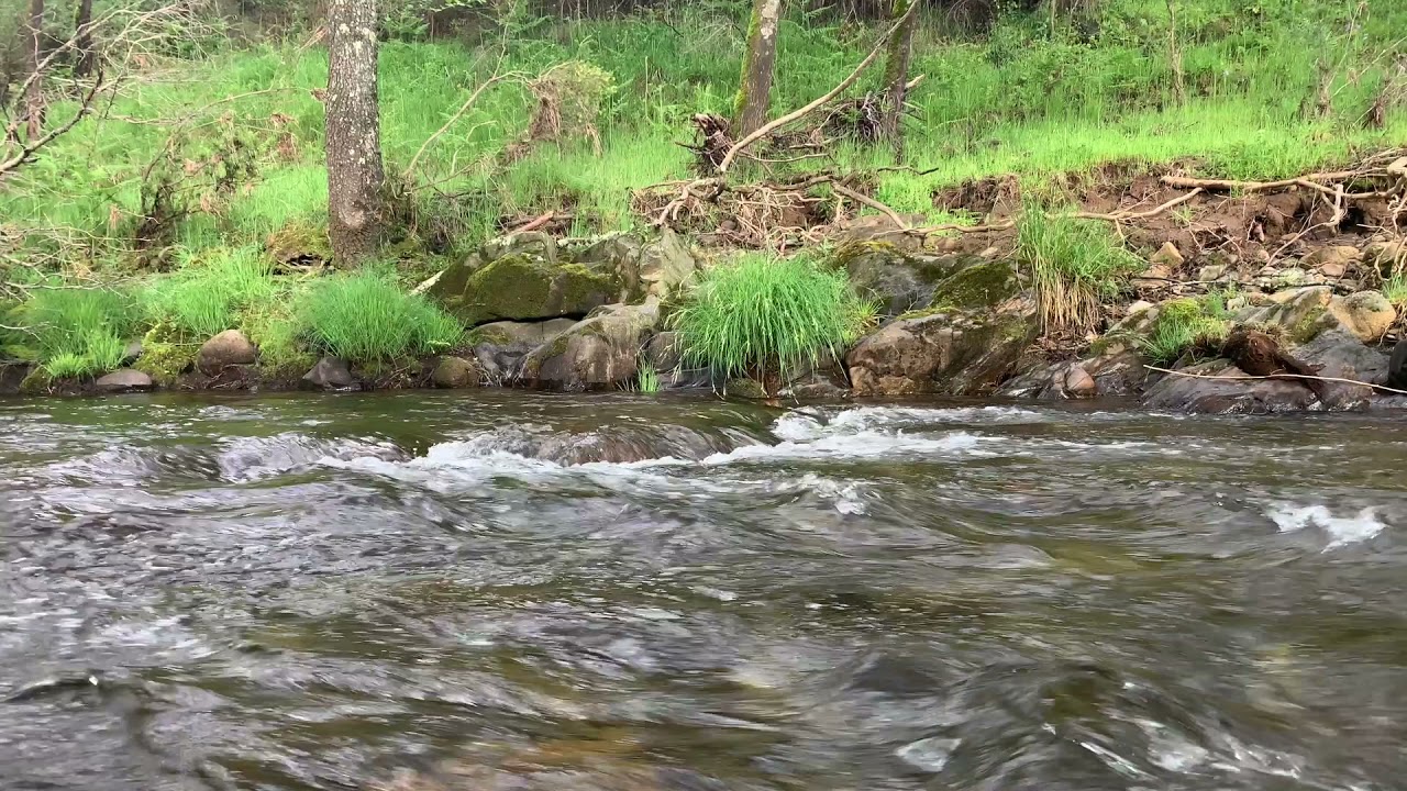 SONIDO de AGUA de un RÍO FLUYENDO 💦💦💦 | Ideal para un rato de ...