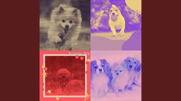 Alluring Backdrops for Training Your Dog