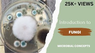 Introduction to fungi | Fungus | Theory | Microbiology | Mycology | Study of fungi