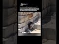 Deep Inside the World’s Largest Marble Mines #shorts