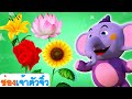 เรียนรู้ดอกไม้ | วิดีโอการเรียนรู้สำหรับเด็ก | ABC Thai