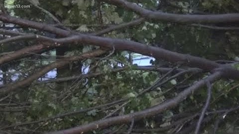 Storm cleanup underway in West Michigan after strong winds, hail, lightning
