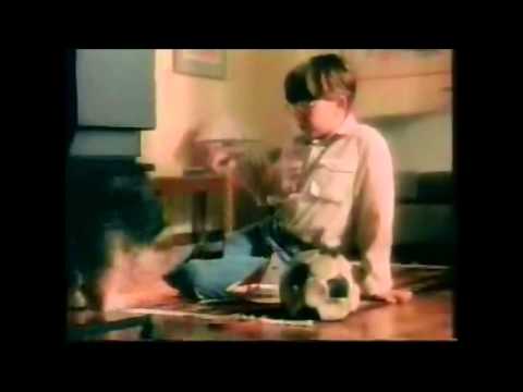Las Funciones de Lenguaje en la publicidad