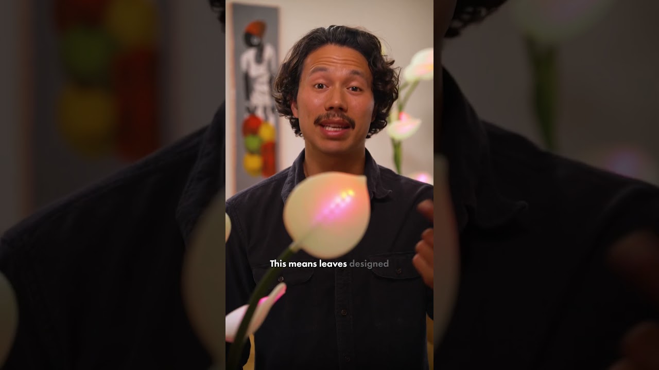 Why This Viral LED Houseplant is so Expensive 