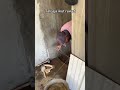 Ada yang seperti ini g?