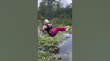 Zipline Over Alligator Gone Wrong (@universo_curioso8)