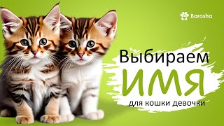 Выбираем ИМЕНА для кошки девочки