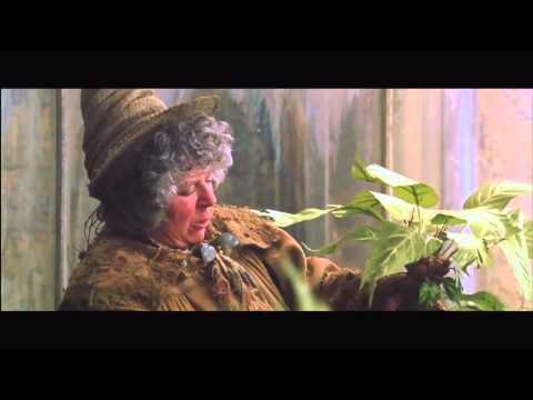 Screaming Mandrake Plant #trendingvideo #highlight #harrypotter #plant
