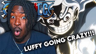 LUFFY GOING CRAZY ONE PIECE EPISODE 1074 REACTION