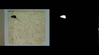 Mouse Tracking Software Result