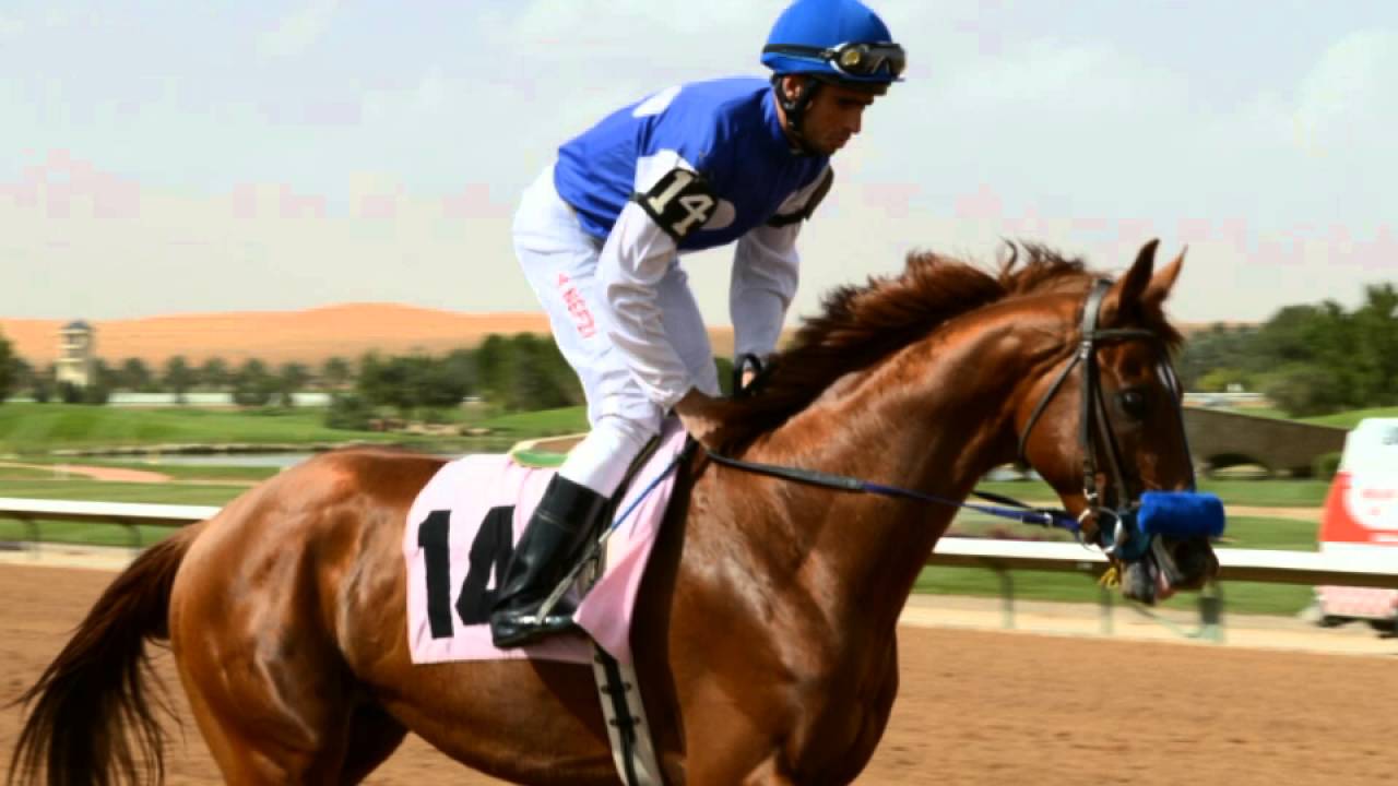 Horse Racing @ Nova Resort - Riyadh. KSA - YouTube