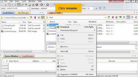 Managing files in CuteFTP
