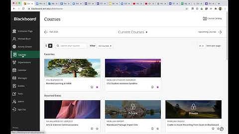 Blackboard Content Collection