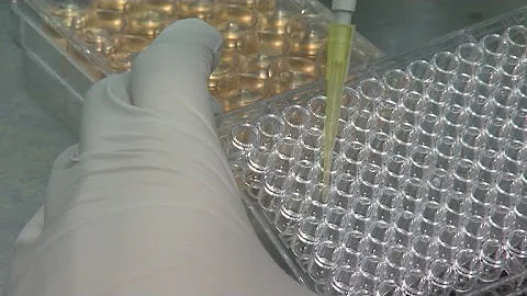 New cancer drug could be on the horizon