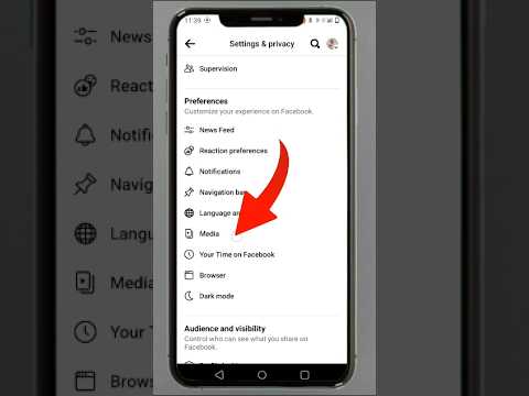 facebook autoplay video