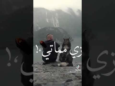 اغاني ضليت اشيل اشيل هموم ما شفت طعم النوم