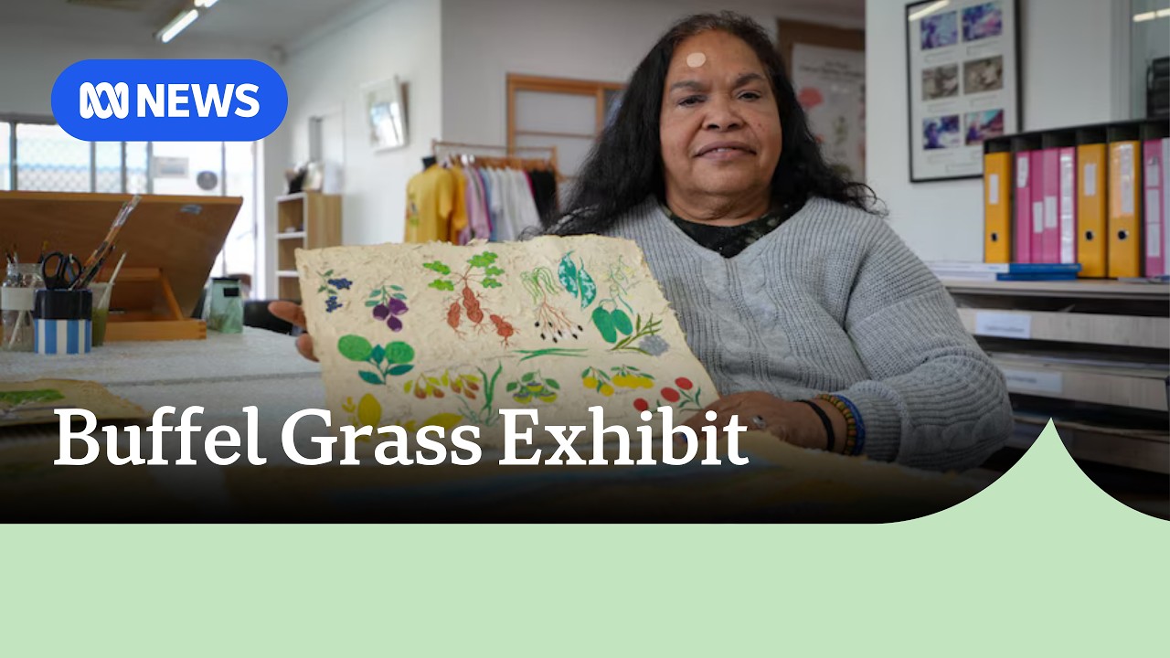 New art exhibition to shine spotlight on invasive weed driving out native species | ABC NEWS
