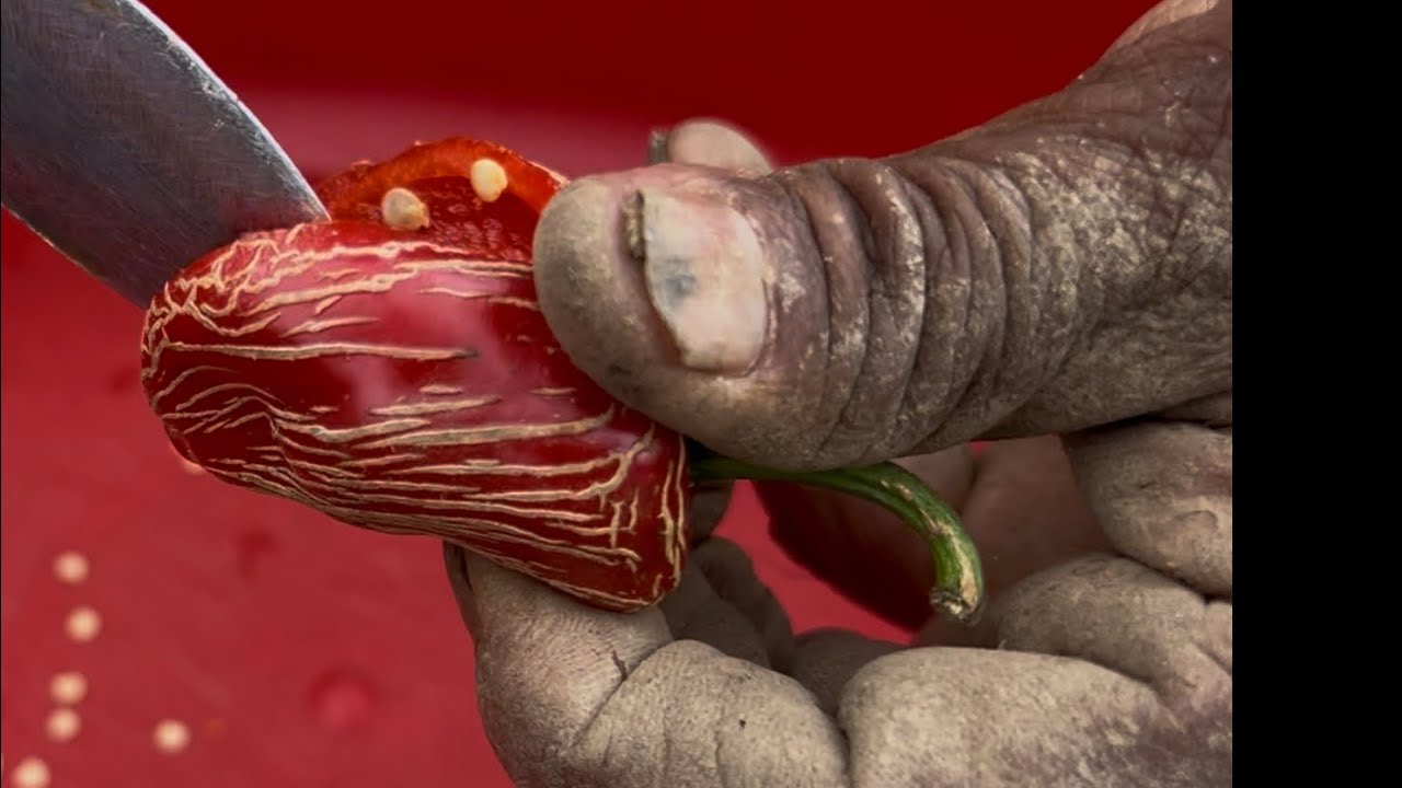 No es Suiza 🇨🇭 es La Misión Hidalgo