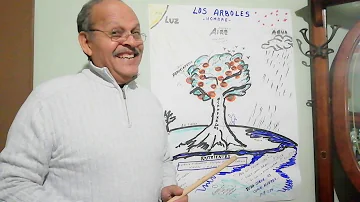 ¿El árbol tiene ADN?