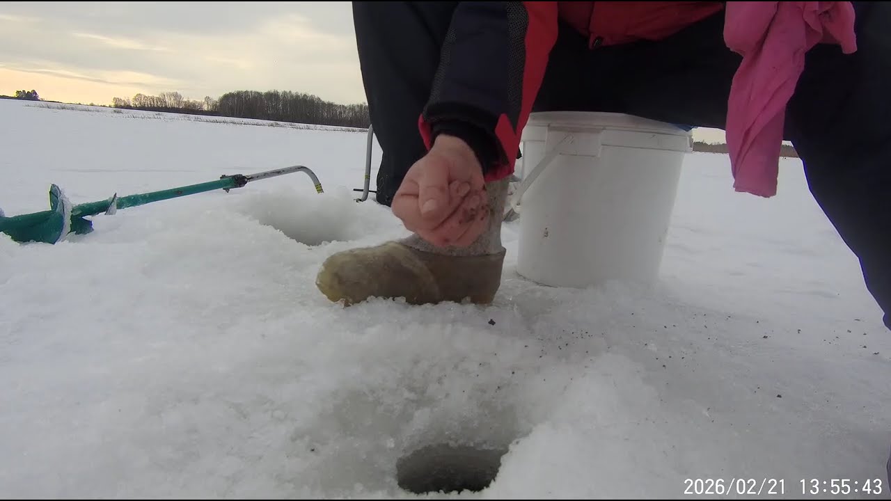 20260221134824 0001  ПЯНКУЛА