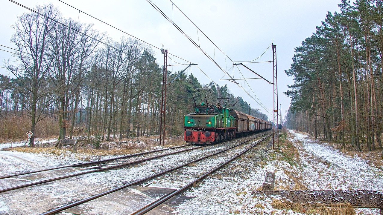 Leśne krokodyle czyli 5 składów między Wygodą a Błonawami