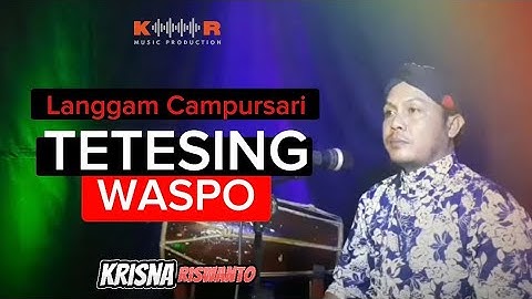 🔴 Coba dengar langgam ini ! lalu apa yang kalian rasakan? - Tetesing Waspo - cover Krisna Riswanto