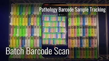 Pathology Barcode Sample Tracking Solution | Batch Barcode Scan