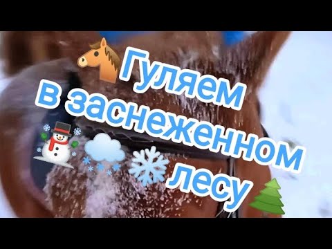 Видео: ❄