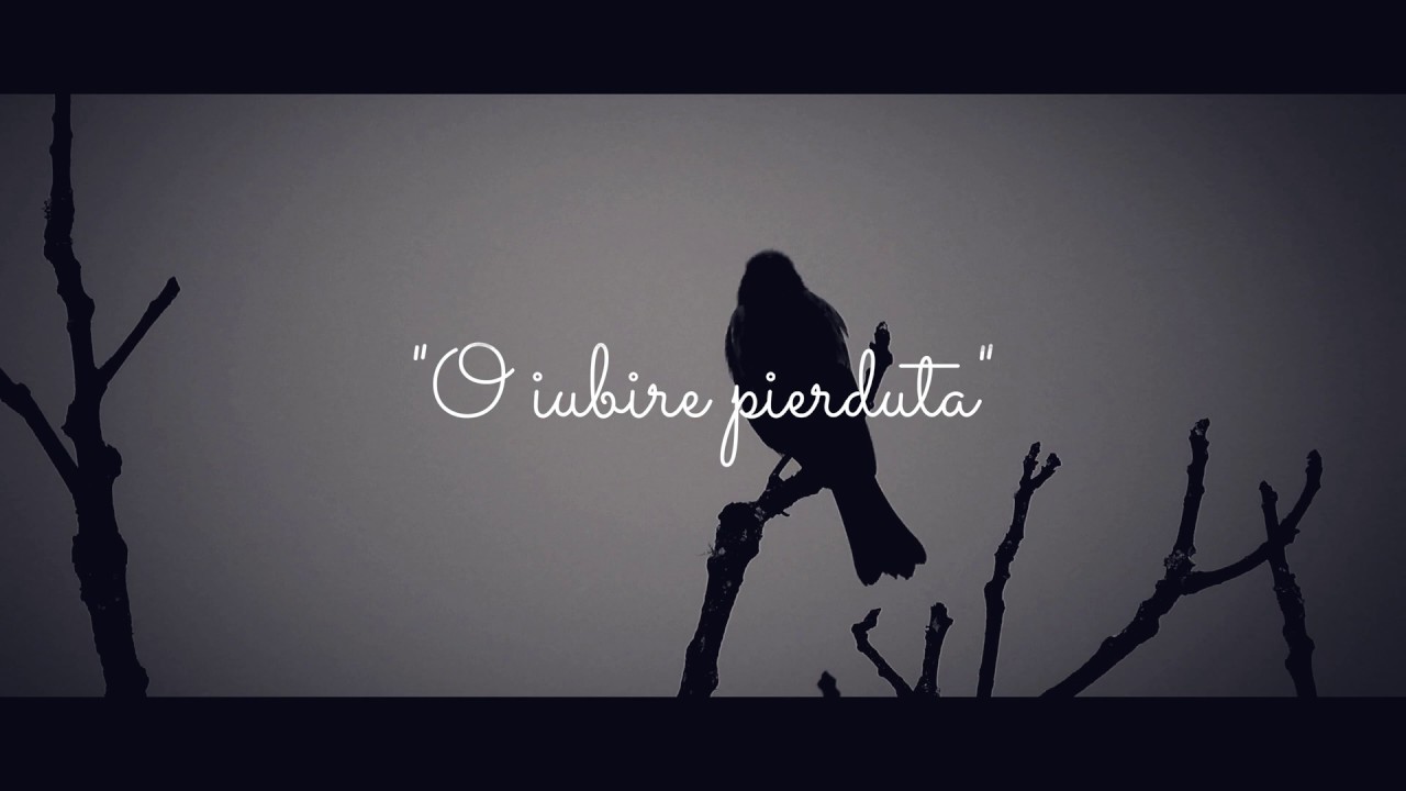 Yenic   O iubire pierduta Lyrics Video