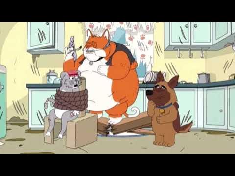 Белиссимо мем с котом Paradise PD - Trójkącik (Sezon 2) - YouTube
