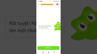 hôm nay mình sẽ học Duolingo xem trình độ của mình như thế nào 😁