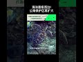 海洋喜极而泣！公海保护区再扩大