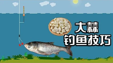 「釣魚加大蒜，魚獲多一半」，大蒜在釣鰱鱅時真有那麼神奇嗎？ - 天天要聞