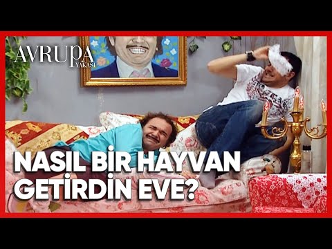 Burhan'a kitap biti bulaşıyor - Avrupa Yakası 183. Bölüm