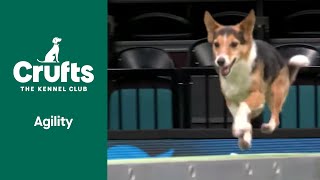 Agility Kennel Club British Open Final Part 1 | ​Crufts 2022